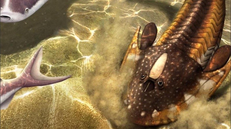 Analizaron a los primeros peces óseos, un linaje que finalmente incluyó a los humanos.