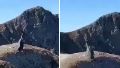 Video: increíble hazaña de piloto que evitó estrellar su helicóptero contra una montaña