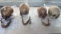 Macabra sorpresa durante control aduanero en Formosa: pasajera viajaba con cuatro cráneos humanos
