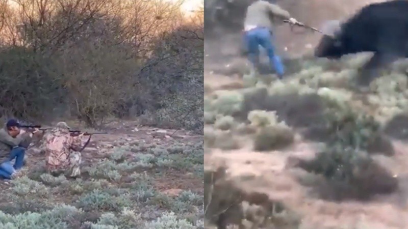 Las fuertes imágenes que circularon en las redes sociales.