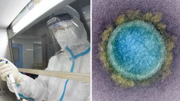 El híbrido viral creado mató al 80% de los roedores de laboratorio infectados.