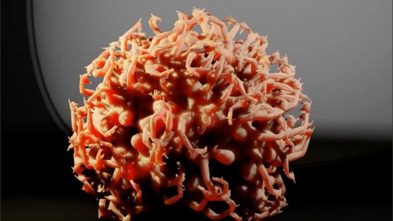 Captura del video experimental 