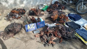 La AIC y la Policía local llevaron adelante una redada tras saga de robos de cables de la EPE.