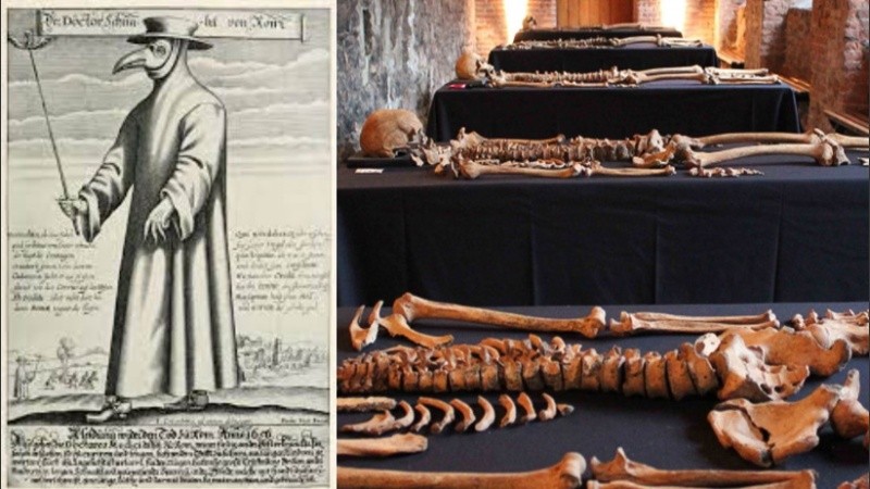 Un equipo internacional de investigadores analizó 500 muestras de ADN del siglo XIV.