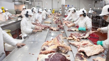 Santa Rosa, La Pampa. Empaque de carne de vaca para exportación en el Frigorífico Carnes Pampeanas.