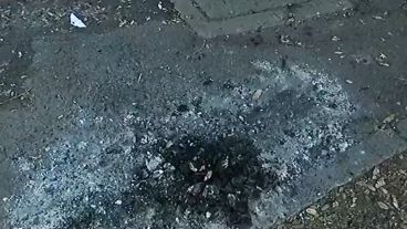 Asados en árboles del Parque y gran cantidad de residuos por todos lados.