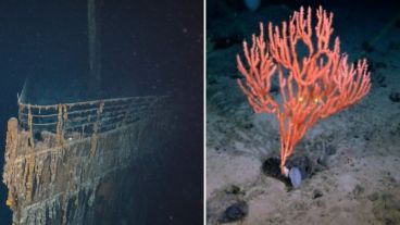 El Titanic se hundió después de una colisión con un iceberg el 15 de abril de 1912,