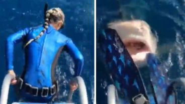 Las increíbles imágenes fueron compartidas en Instagram.