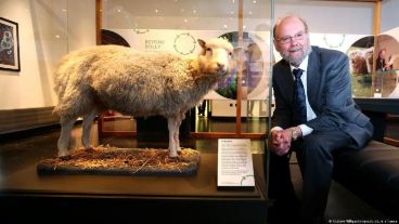 Wilmut y Dolly en el Museo Nacional de Escocia (Foto: Andrew Milligan/empics/pictures alliance)