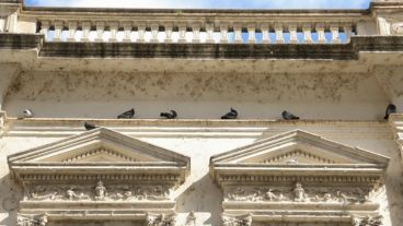 Palomas sobre edificios del microcentro de la ciudad.