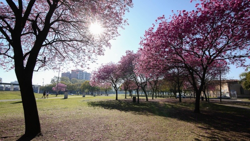 La primavera traerá más lluvias de las habituales.