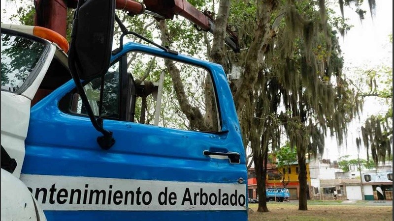Se realizarán trabajos de poda, escamonda, mantenimiento de especies arbóreas, despeje de luminarias y forestación priorizando especies nativas.