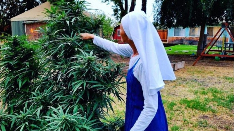 Llegaron a tener ganancias de unos 1,2 millones de dólares anuales.