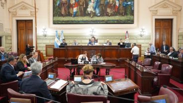 Diputados convirtió en ley el proyecto.
