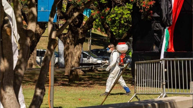 Los operativos tienen por objetivo el control del mosquito culex, una especie que suele frecuentar en grandes poblaciones y picar en cualquier parte del cuerpo
