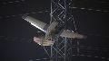 Mirá: una avioneta se estrelló contra una torre eléctrica y quedó incrustada en la estructura