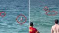 Video: un tiburón acechó a una bañista en las playas de Dubai