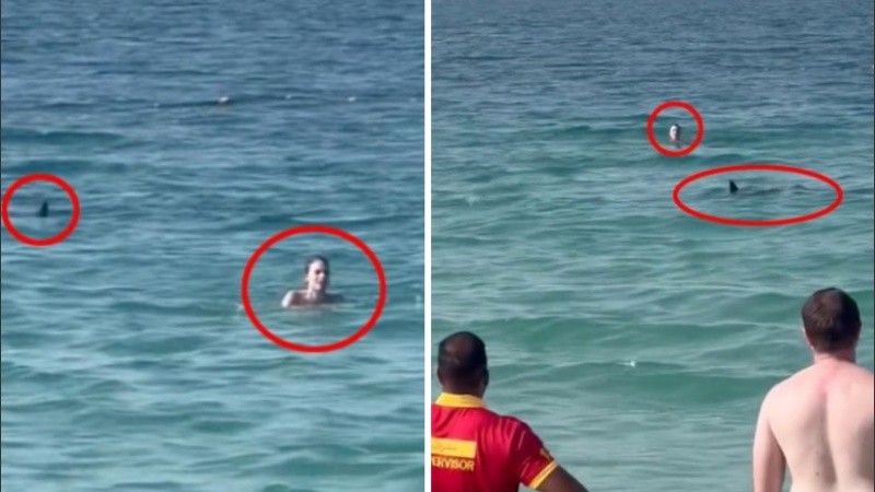 Los turistas volvieron a visitar la playa después del avistamiento.