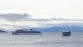 Tragedia a bordo de un crucero en Tierra del Fuego: una turista murió aplastada por una ola gigante