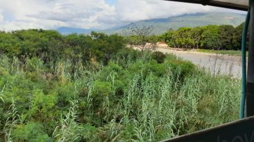 Unas 60 mil personas cruzan el puente que une San Antonio del Táchira (Venezuela) con Villa del Rosario (Colombia) .