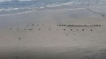 La embarcación habría medido 35 metros de largo y 6 metros de ancho.