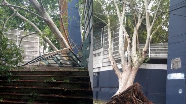 En el predio del estadio de Central también se trabaja sobre los daños que causó la tormenta.