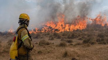 También la Policía Federal Argentina brinda apoyo con un autobomba, al igual que el Ministerio de Ambiente con pronóstico meteorológico para planificación.