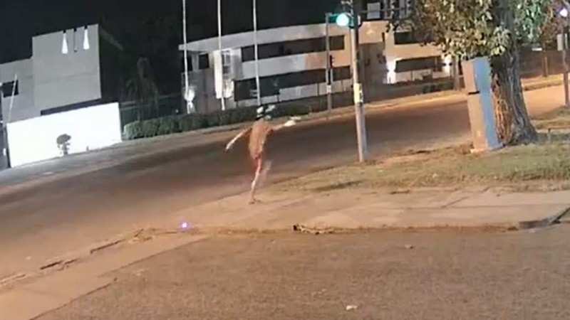 TVL agradece la solidaridad de otros medios de comunicación e instituciones.