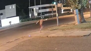 TVL agradece la solidaridad de otros medios de comunicación e instituciones.