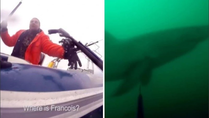En el clip se lo puede escuchar gritando mientras el gran tiburón blanco lo esquiva.