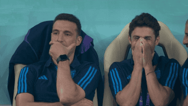 Scaloni y Aimar escondidos detrás de sus manos para que no se note tanta emoción.