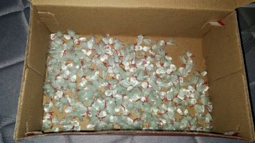 Parte de los estupefacientes secuestrados.