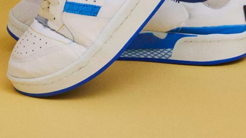 Se estima que podrían verse en Argentina en 2023