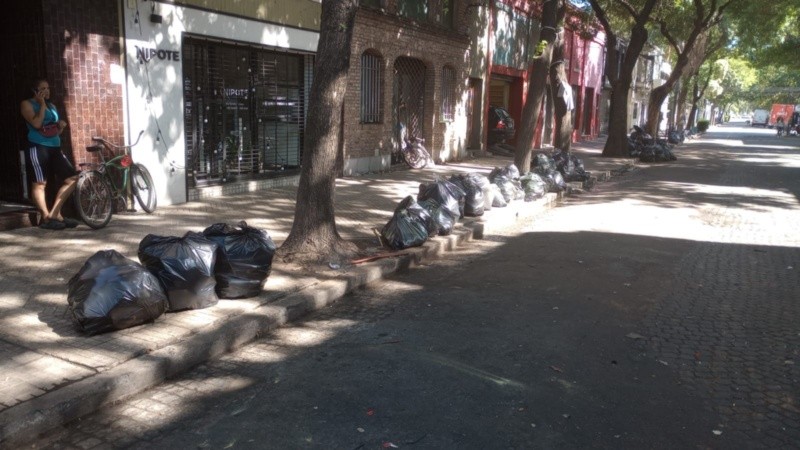 Limpieza en la zona de Pichincha