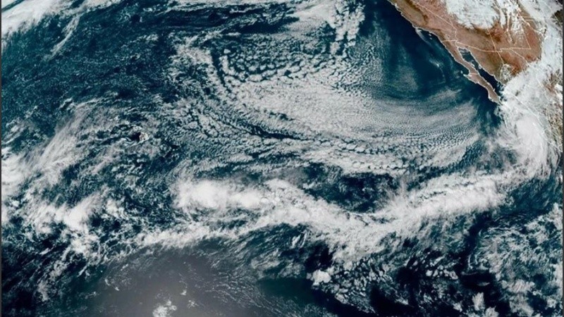 Los investigadores encontraron que las pérdidas de biodiversidad global serían enormes.