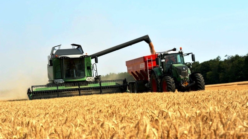 Se estima que la cosecha de trigo alcanzará las 14,9 millones de toneladas en 2023.