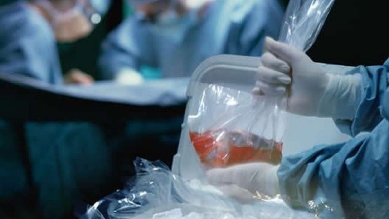 Durante el 2022 se concretaron 180 trasplantes de órganos en Santa Fe.