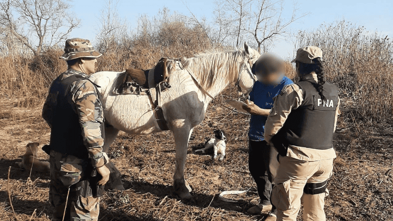 La Justicia procesó a los siete detenidos en agosto pasado por las quemas.