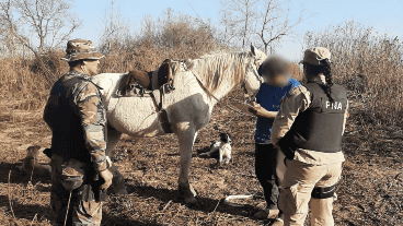 La Justicia procesó a los siete detenidos en agosto pasado por las quemas.