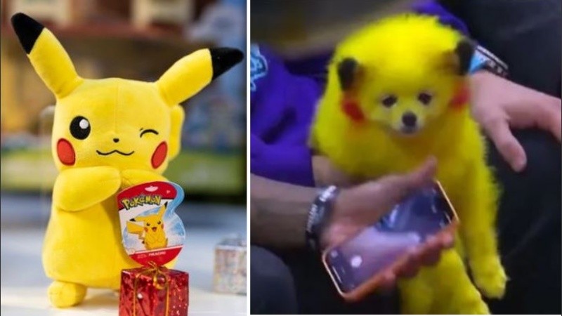 La situación provocó la ira de todo aquel que vio el video.