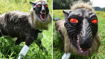 Buscan con tecnología  reducir la destrucción agrícola y ambiental.