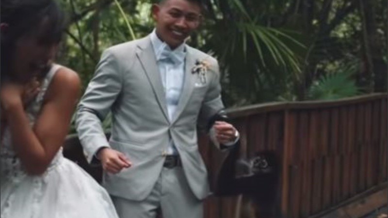 El primate no llegó solo, sino acompañado de su cría. 