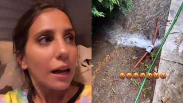 “Vieron, hay que laburar. Al que labura, Dios lo ayuda”, aseguró la bailarina.