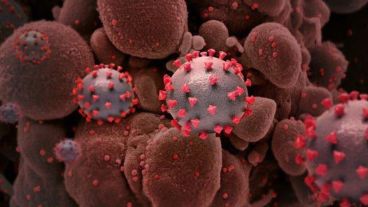 La variante fue detectada por primera vez en India en agosto.