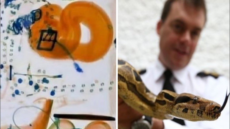 Las autoridades dijeron que Bartholemew fue devuelto a la casa de la propietaria.