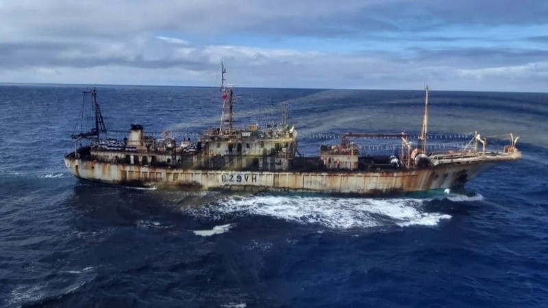 Los barcos de China se dedican en su mayoría a capturar calamares dientusos, una especie clave en la región del mar argentino.