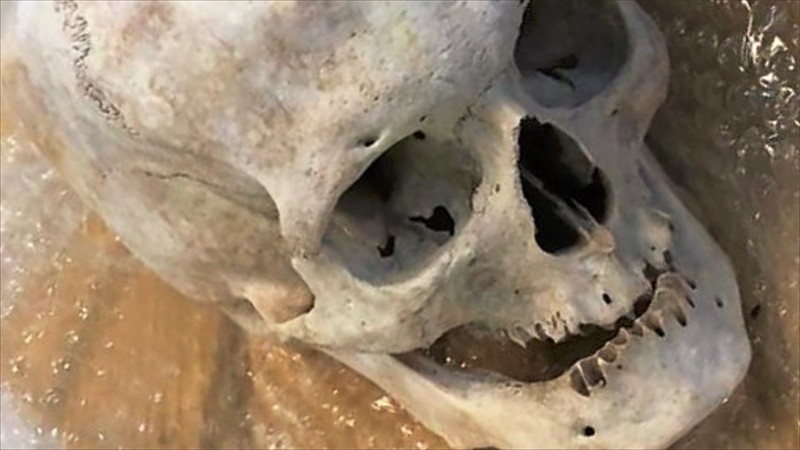 El cráneo humano estaba en una caja con papeles.