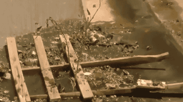 Las imágenes desde Oncativo al 2800.