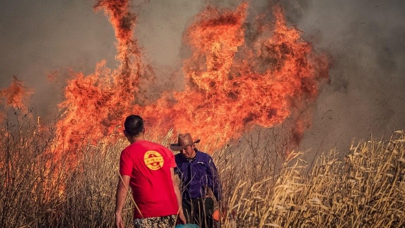Fuego en las islas, una situación que se repite desde hace años.