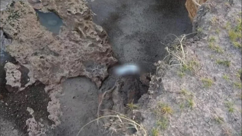 El hombre cayó de unos 10 metros y sufrió traumatismo de cráneo y varias fracturas.